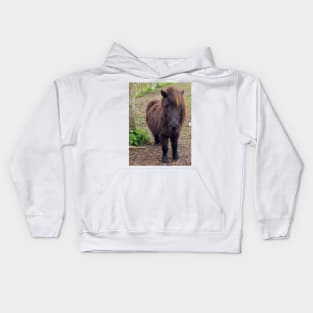 Shetland Pony Kids Hoodie